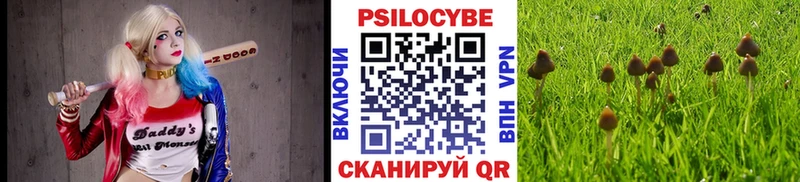 мориарти Telegram  Орск  Галлюциногенные грибы Psilocybine cubensis 
