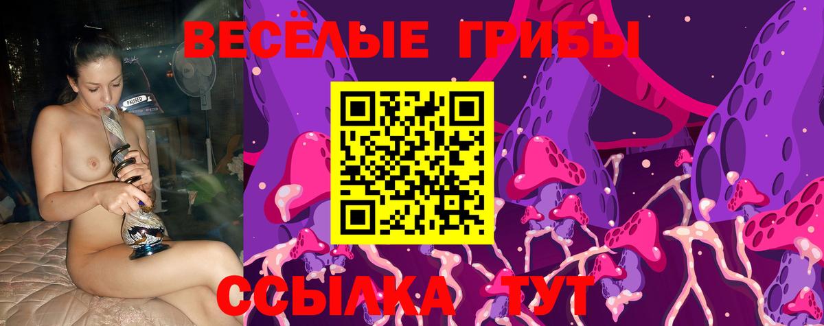 Псилоцибиновые грибы прущие грибы Орск